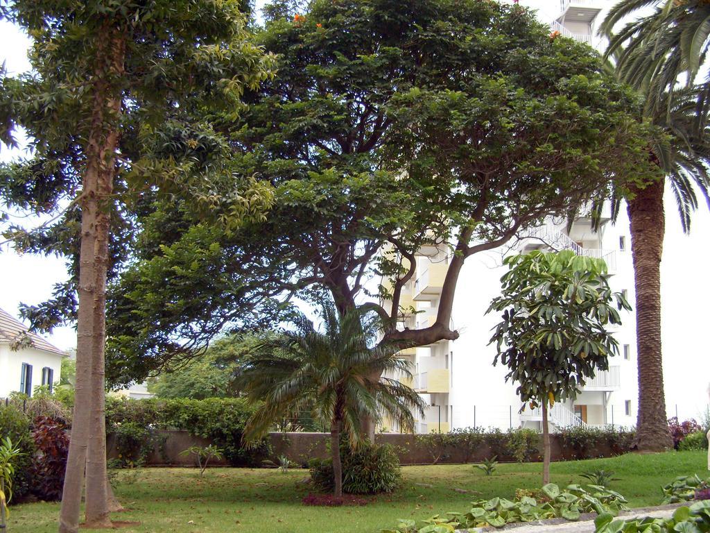 Casa Branca Apartments By Wanderlust Madeira, Vacation Rentals Funchal  Exterior foto